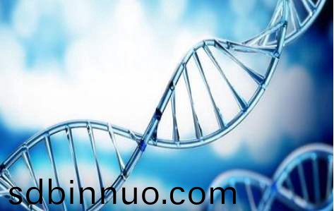 百傲2019再穫三證，進入DNA免提時代