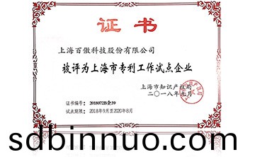 上海市專(zhuan)利工(gong)作試點企業